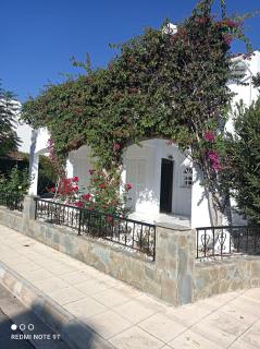 Amazing Cyprus 3b Villa Private Pool&Garden by sea - 2