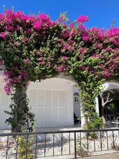 Amazing Cyprus 3b Villa Private Pool&Garden by sea - 1