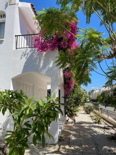 Amazing Cyprus 3b Villa Private Pool&Garden by sea - 9