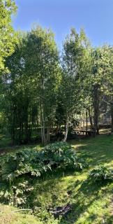 Cabin in Natural Forest - Voipire - 6