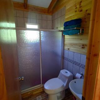 Cabin in Natural Forest - 4