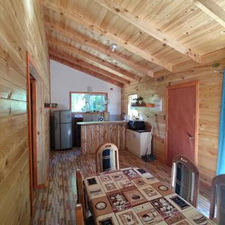 Cabin in Natural Forest - 3