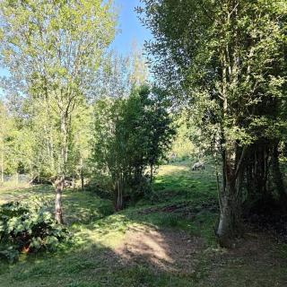 Cabin in Natural Forest - Voipire - 1
