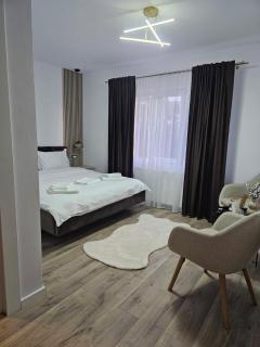 Casa Medeea - Băile Borşa - 9