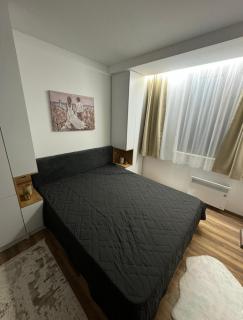 Royal Gold & Spa Kop - Kopaonik - 2