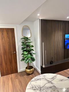 Luxury modern apartment - 8