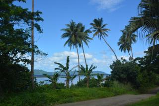 Jima's Home Retreat - 9