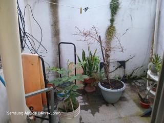 Casa céntrica en Pando - Pando - 3