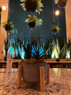 The Bersal House - San Miguel de Allende - 9