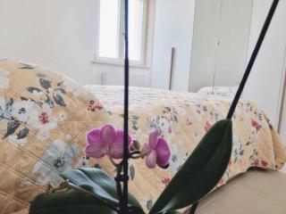 Holiday home in Stumio - Kalabrien 51311 - Ovile la Marinella - 1