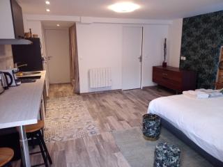 Modern studio - 2P - Orly - Orly - 4