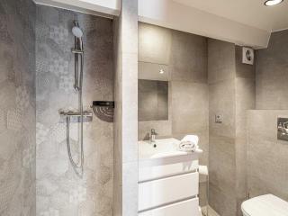 Large Duplex - Cannes Center - Cannes - 6