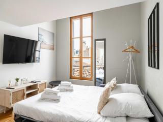 Large Duplex - Cannes Center - Cannes - 3
