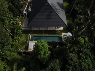 The Jangala Luxury Retreat Ubud-Villa Sungai - Ubud - 9