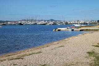 Family friendly apartments with a swimming pool Sukosan, Zadar - 23934 - Sukošan - 5