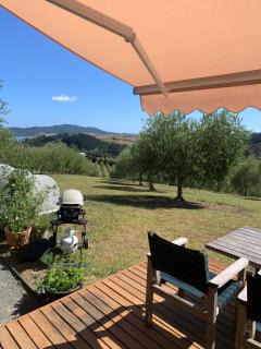 Private Olive Grove Studio - Mangonui - 2