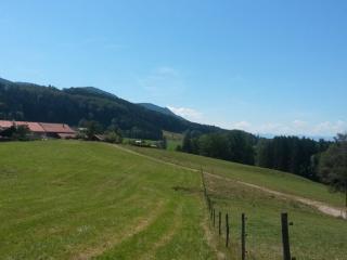 Richter Comfortable holiday residence - Wackersberg - 5