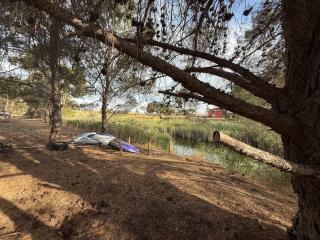 Woody House Creek - - 0