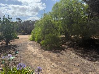 Woody House Creek - - 3