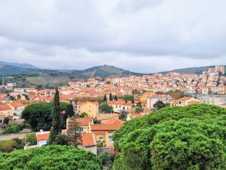 Charmant T2 climatisé proche centre avec parking à Banyuls-sur-Mer - FR-1-309-88 - Banyuls-sur-Mer - 0