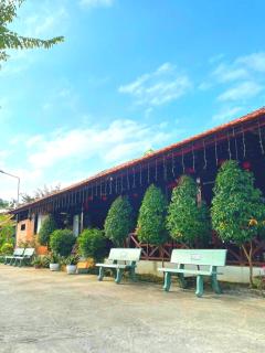 HOMESTAY HƯƠNG RỪNG - Tân Phú - 3