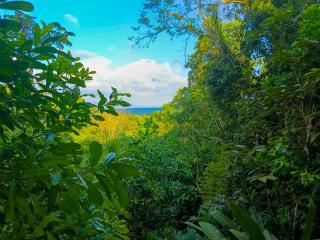 Corcovado Lodge Houses-Villas-pool-great views - 2