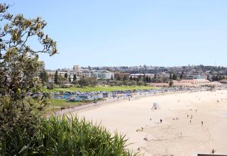 The View - 1