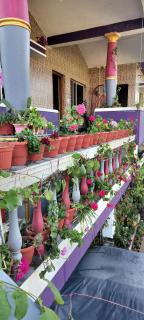 Royal Palm Homestay - Madikeri - 6