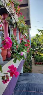 Royal Palm Homestay - Madikeri - 3