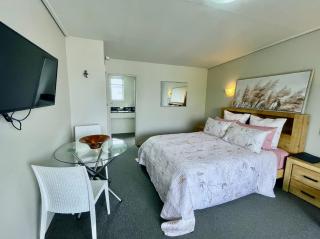 Heart of Christchurch City Studio - 3