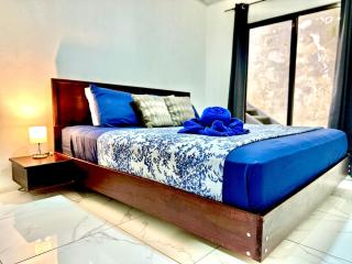 Blu House Nature & Tours - Chachagua - 5