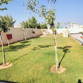 Lavik Comfy Luxury Studio Apartment - Jaipur - 6