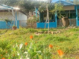 Dar Zitouna - Chefchaouen - 6