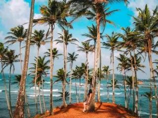 Margosa Guesthouse - Mirissa - 4