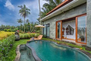 The Alus Villa and Suite - Ubud - 7