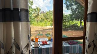 Little Haven Cottage - 2