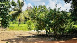 Little Haven Cottage - 1