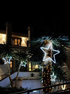 Hotel Taray Botanico - Órgiva - 4