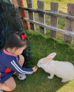 Mianfarm Bàu trắng glamping - - 8