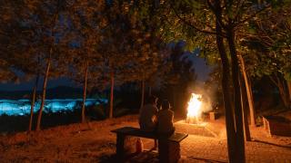 SaffronStays Amodhini Farmstay - Denkanikottai - 4