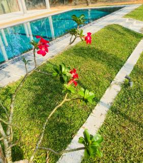 Dana Villa - Bentota - 8