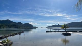 Maroe Bay Lodge - 7