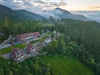 The Planet Munnar - Suryanelli - 3