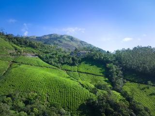 The Planet Munnar - Suryanelli - 6