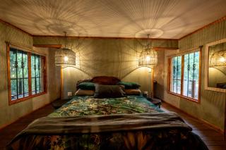 Matumi Trail Forest Lodges - Matumi and Mitzeeri - 8