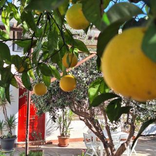 Giallo Limone B&B - Salerno - 7