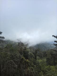 The Artz Room Boutique Hotel - Genting Highlands - 4