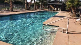 Palmen Maricopa - Maricopa - 7