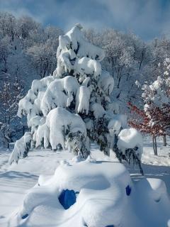 Istisu Valley Spa - 4