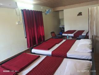 Cheetah Farms Jungle Stay - Dandeli - 5